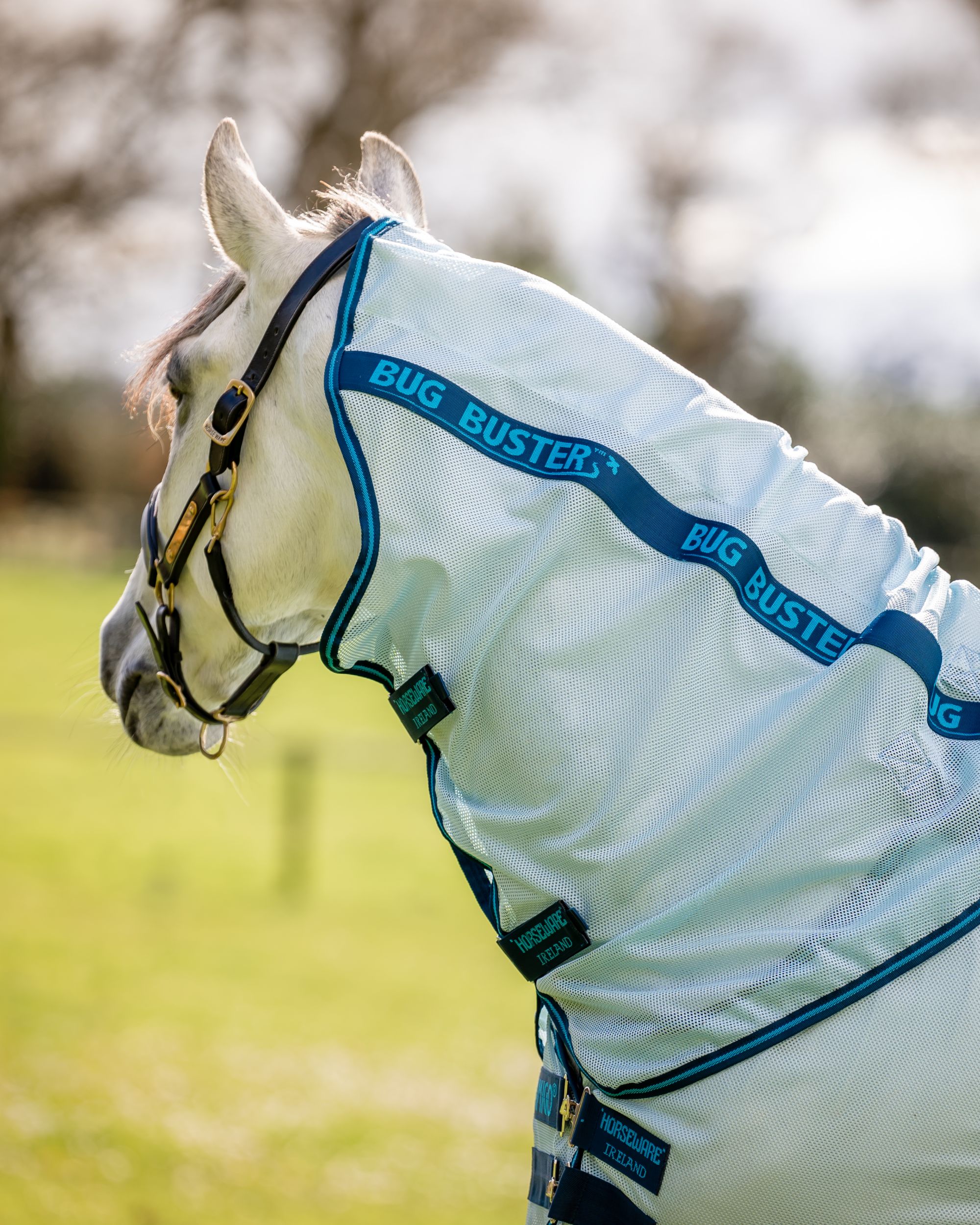 Fly rug Amigo Bug Buster in azure blue/navy
