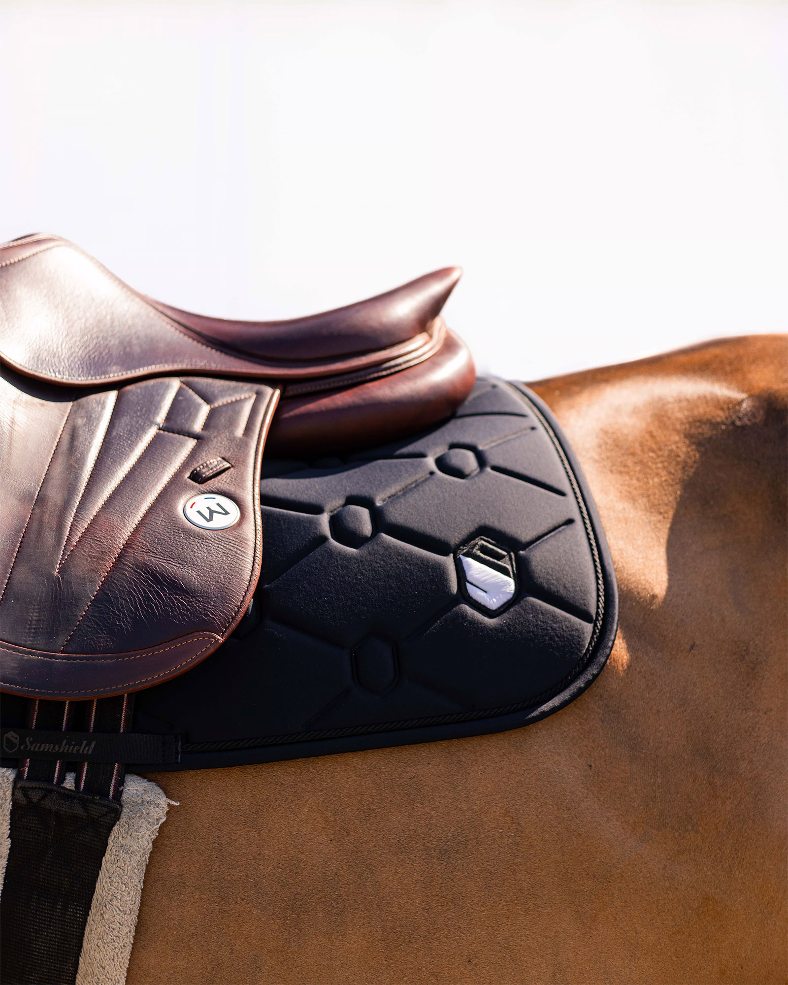 Springschabracke Embroidery