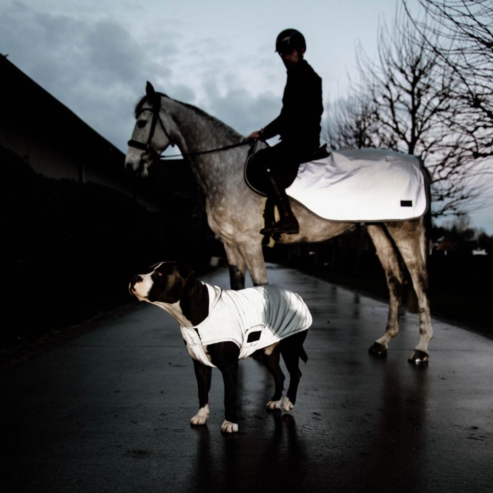 Hundemantel Reflektierend & Wasserabweisend Bauchlatz | Kentucky Dogwear