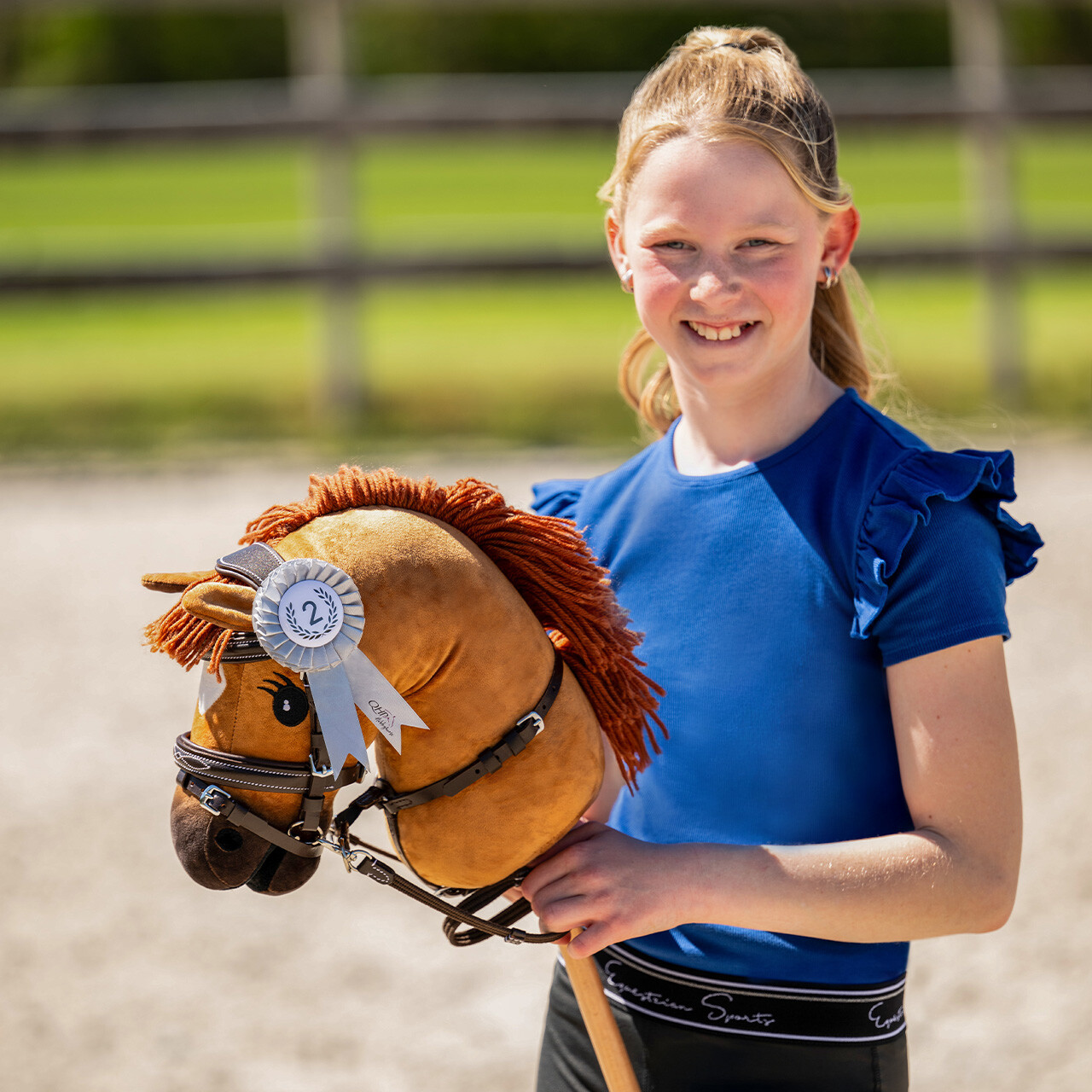 Rosetten-Set Hobby horse