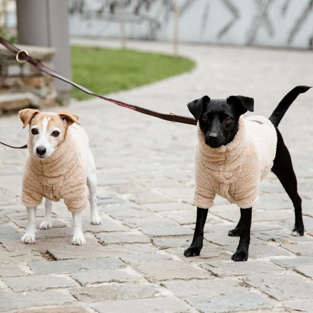 Pullover pour chien Teddy Fleece