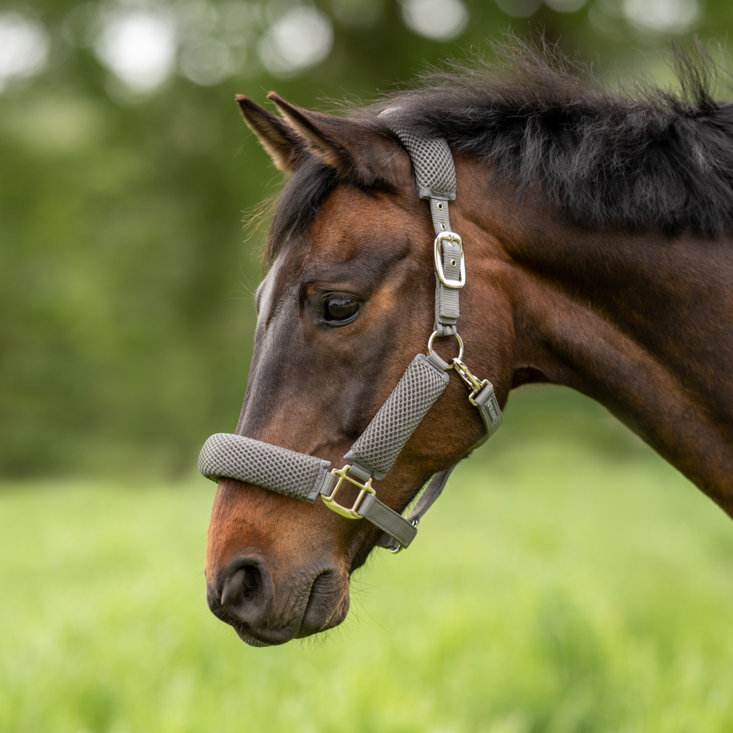 Halfter 3D Air Effect Pro