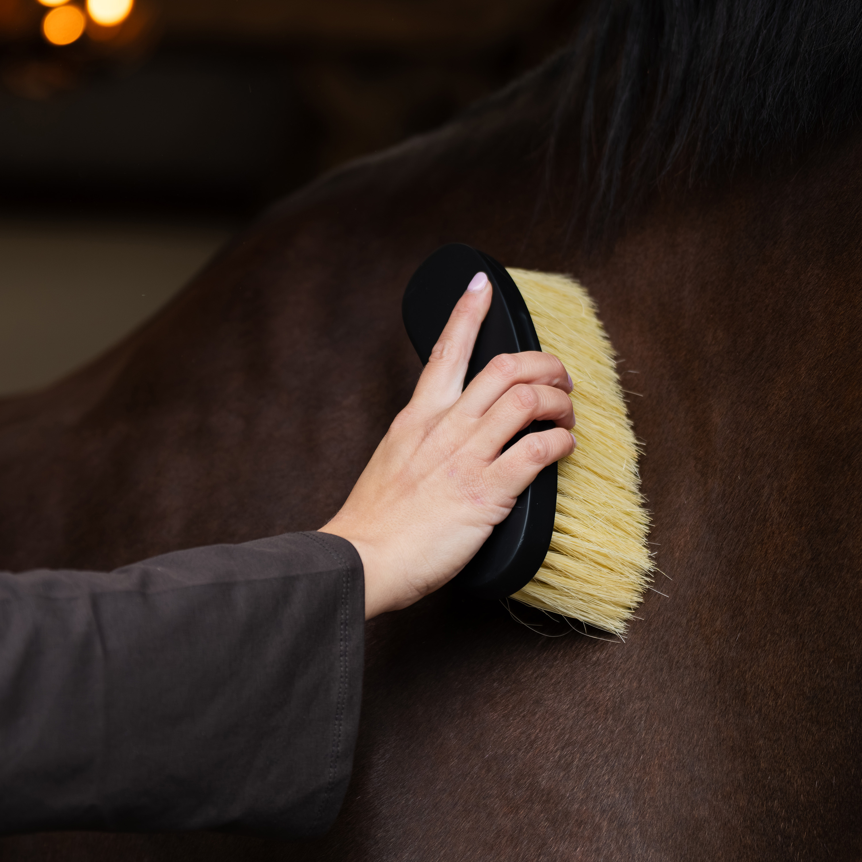 Dandy-Pinsel banana Belleza