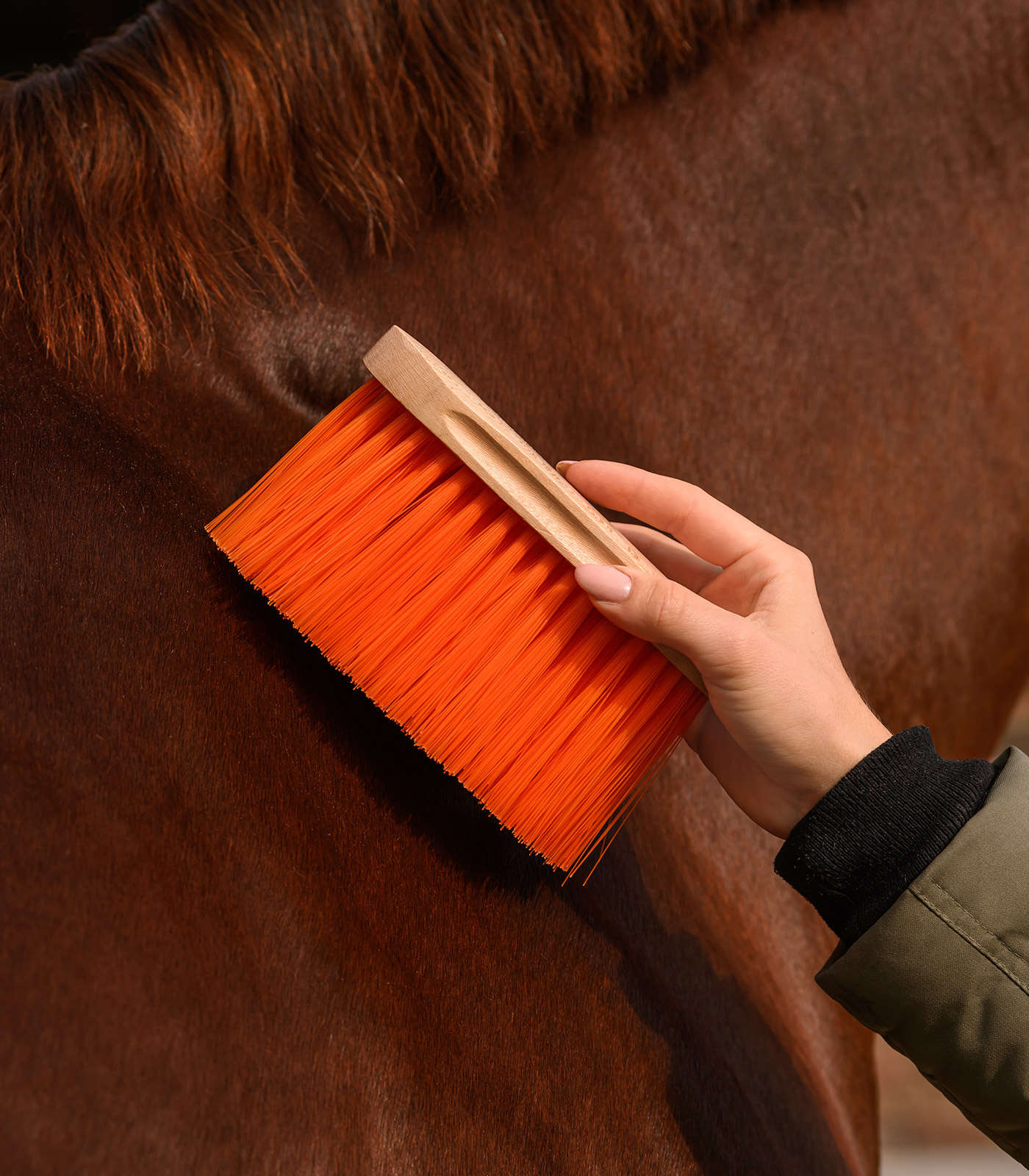 Mane Brush Colorcare soft