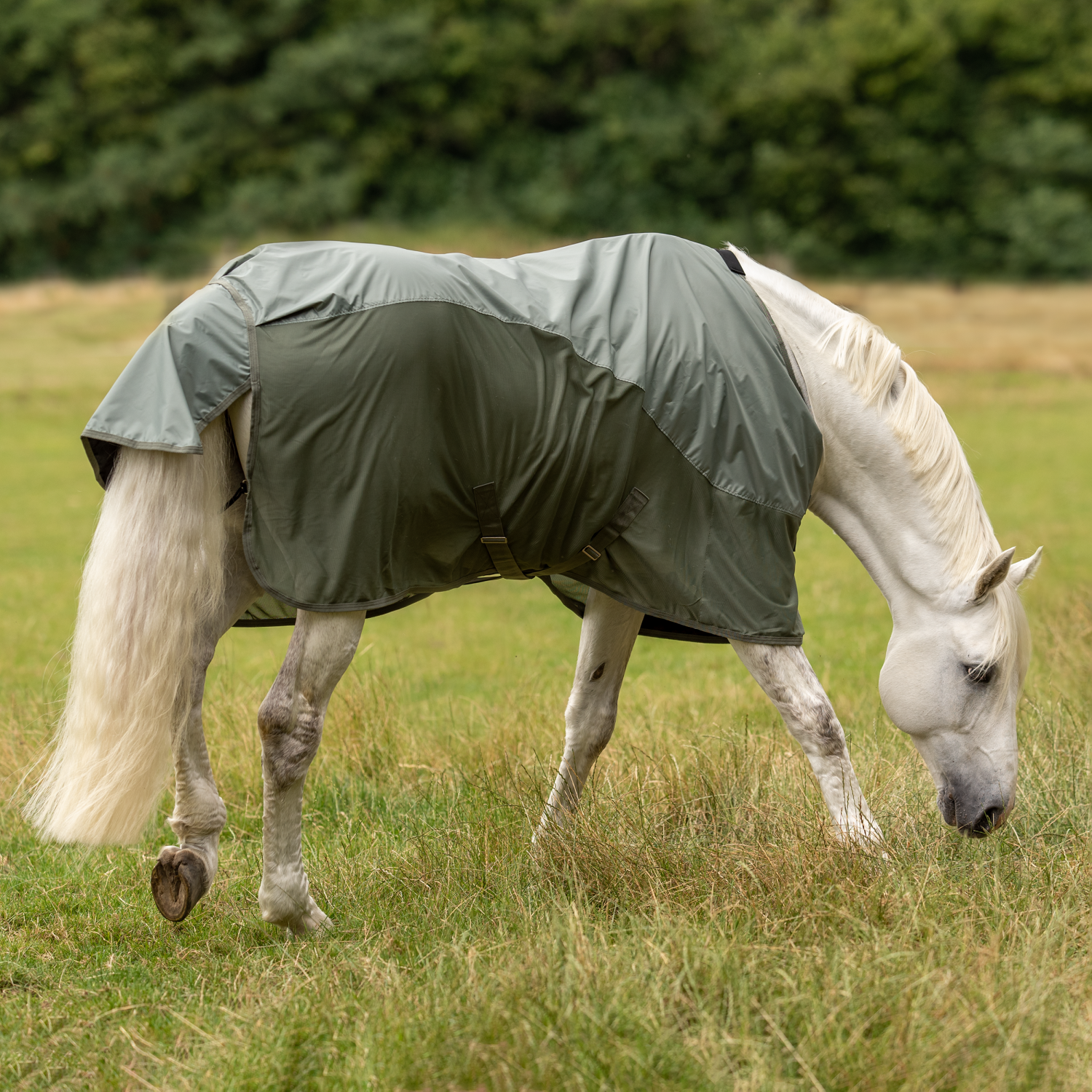RainFly outdoor blanket