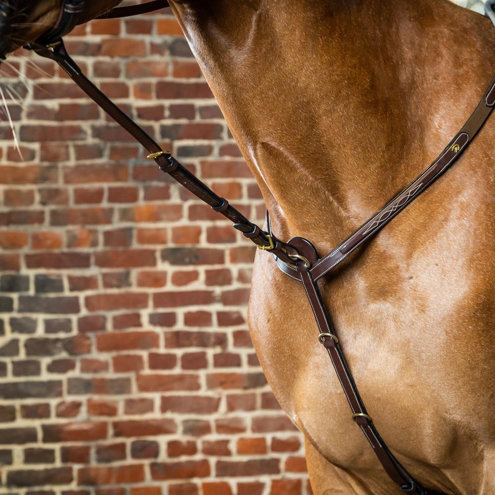 Festes martingale | Dy'on
