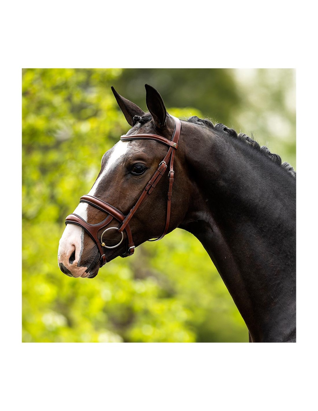 Bath snaffle bridle in oak/silver