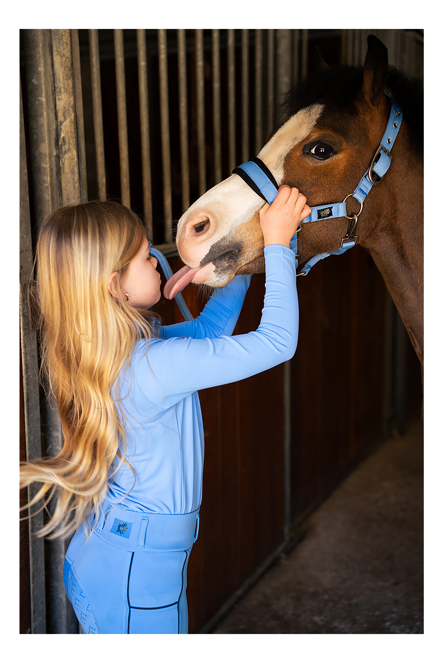 Mini Horse Halfter mit Anbindestrick