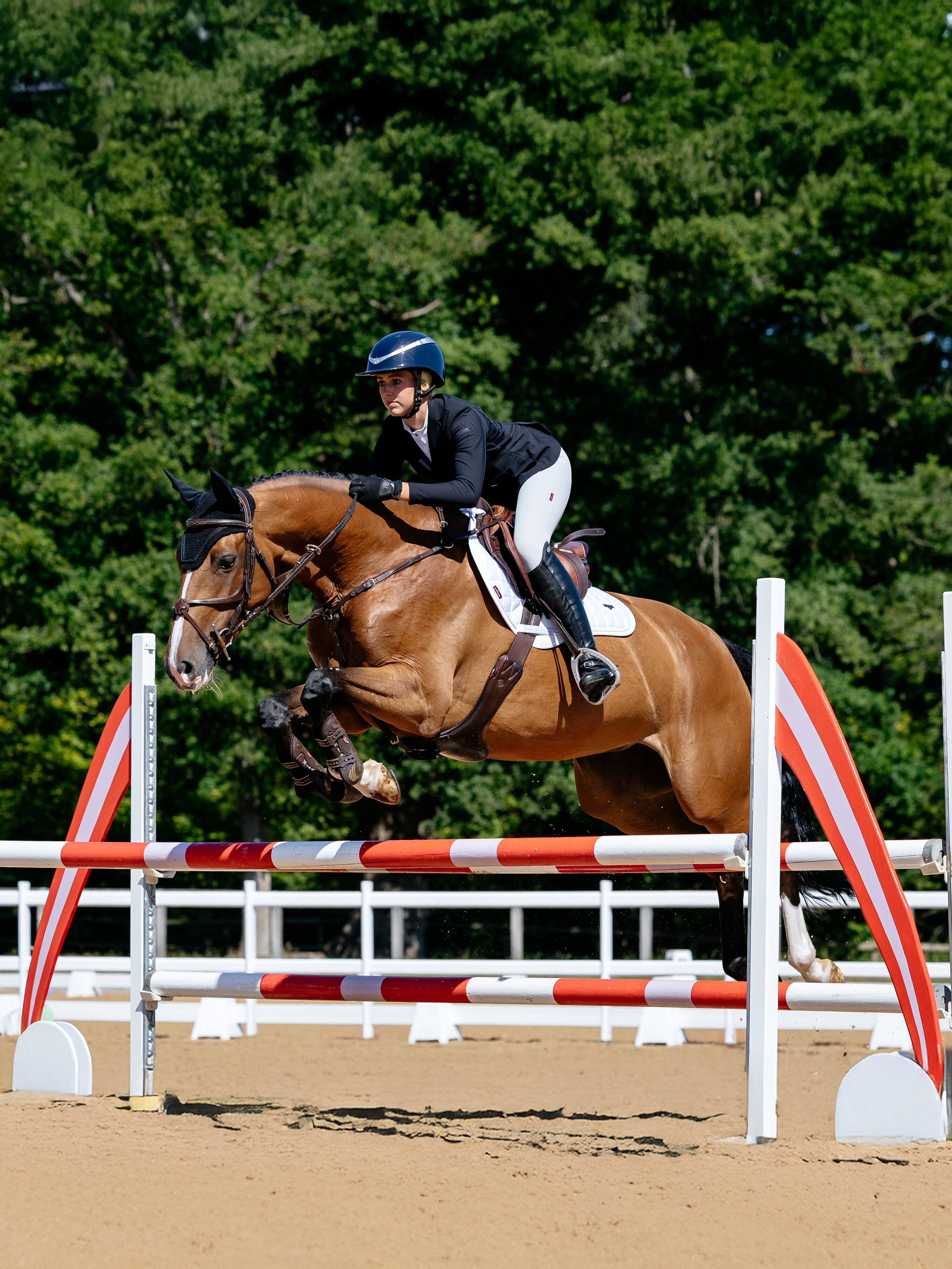 Loire Classic Close Contact Schabracke