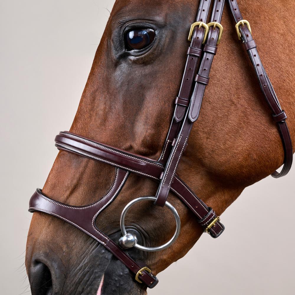 Trense mit Doppelreithalfter DY | Dy'on