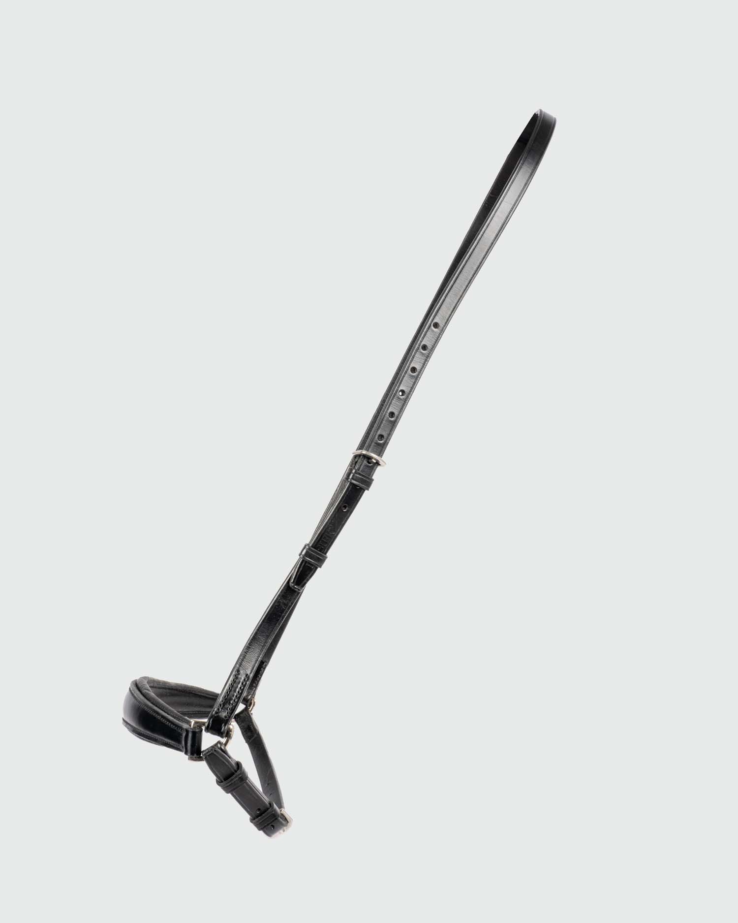 Hanoverian noseband Hanoverian noseband
