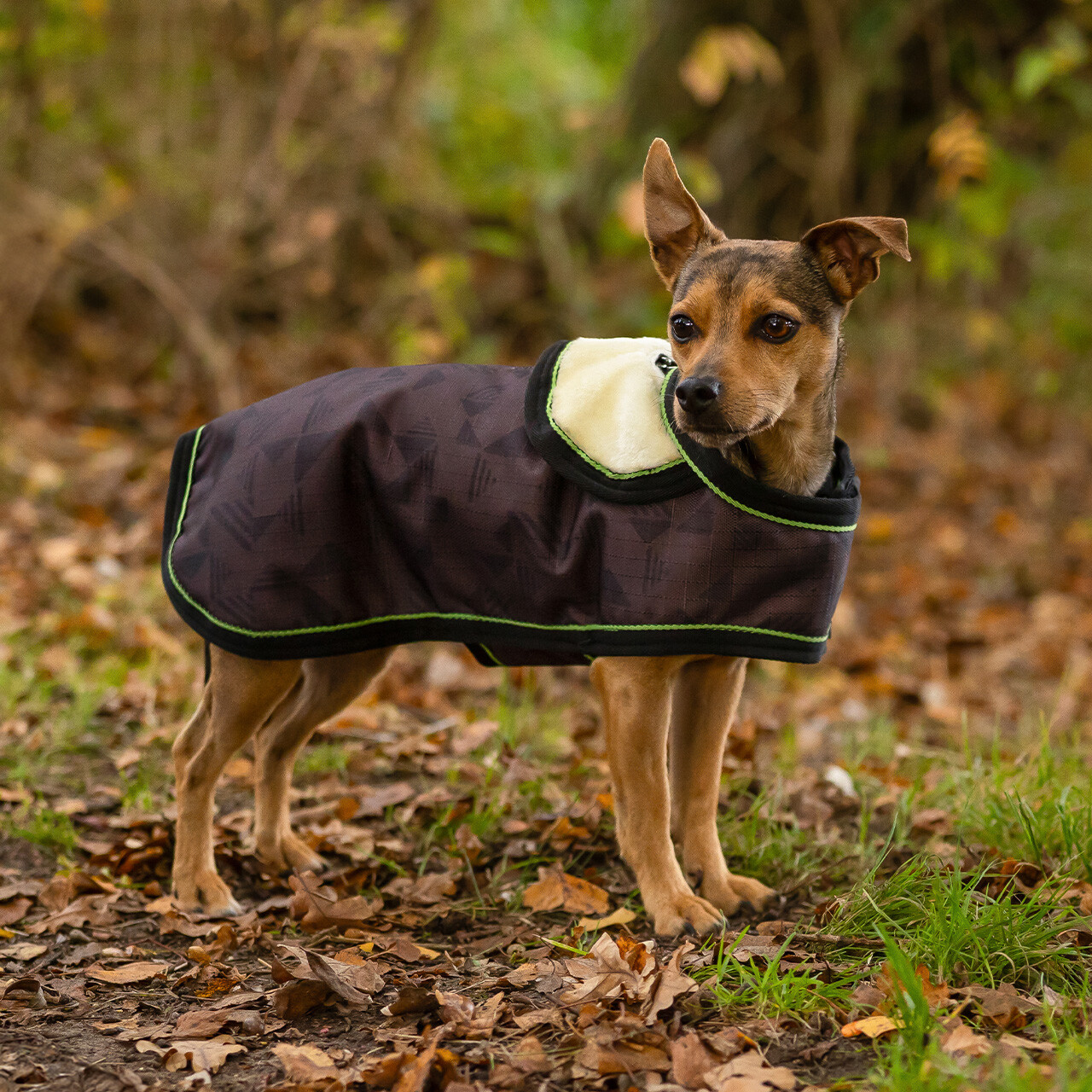 Couverture pour chien Turnout 1200D Collection