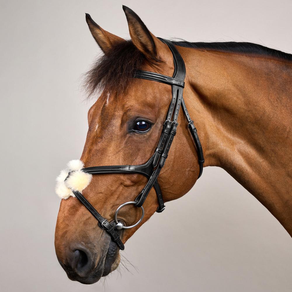 Trense mit mexikanischem Reithalfter NE