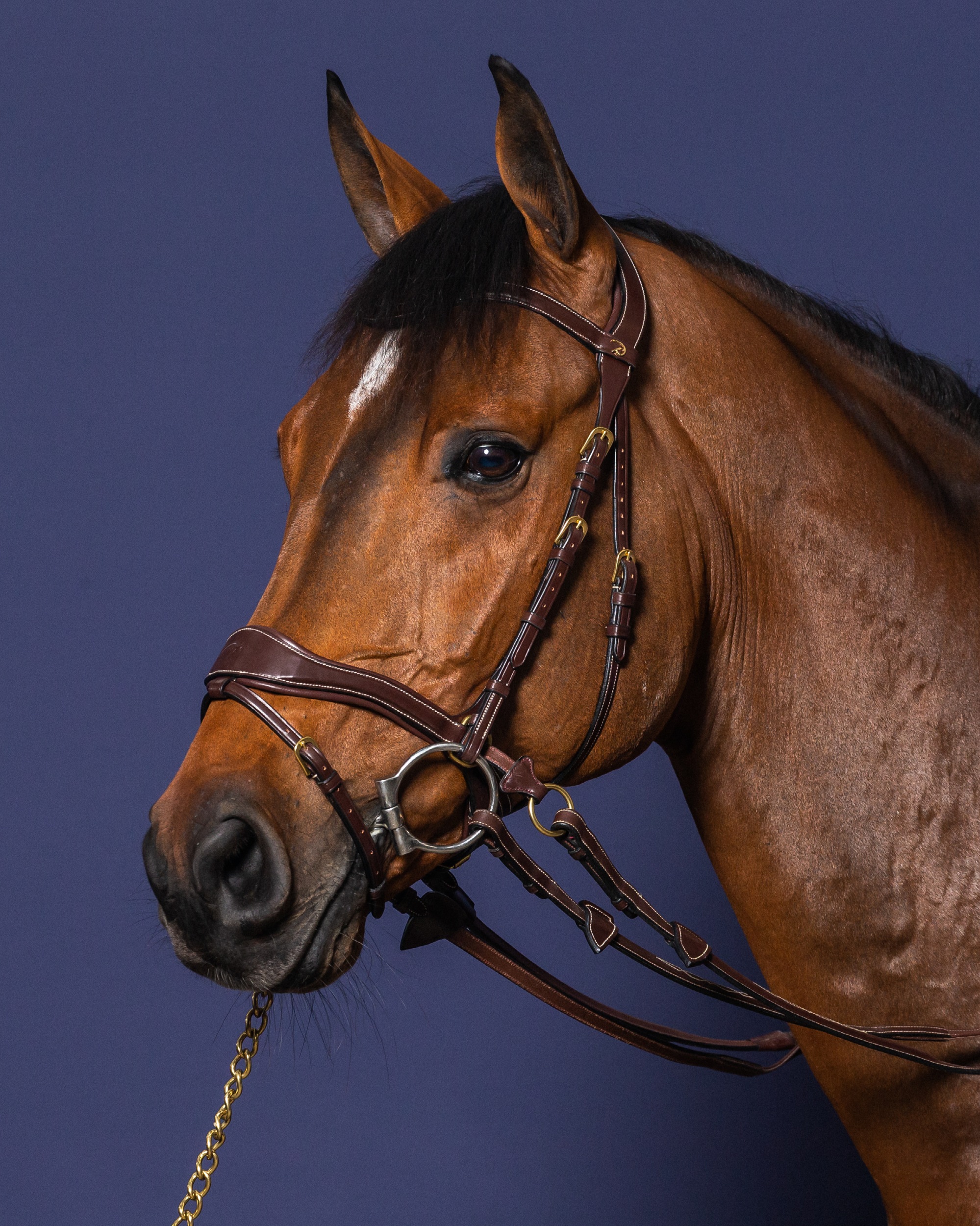 Snaffle D-Motion Snaffle D-Motion