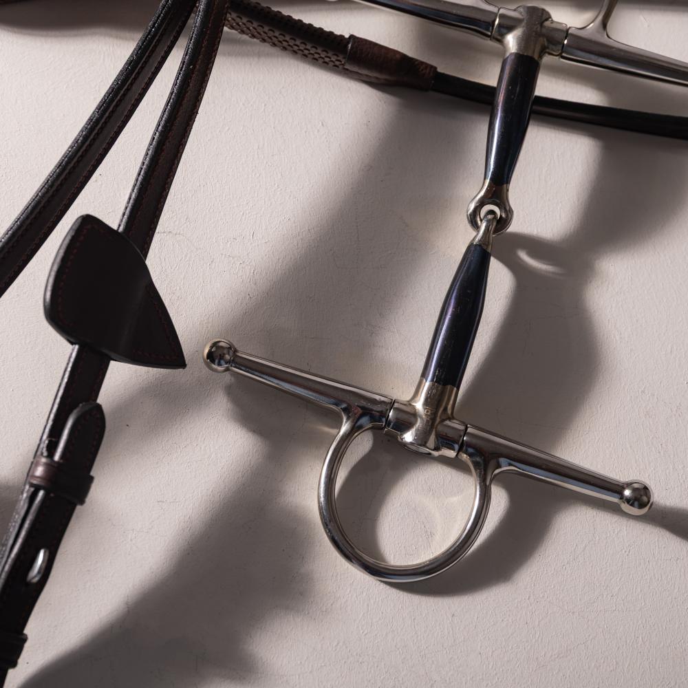 Einfach gebrochene Schenkeltrense Edelstahl