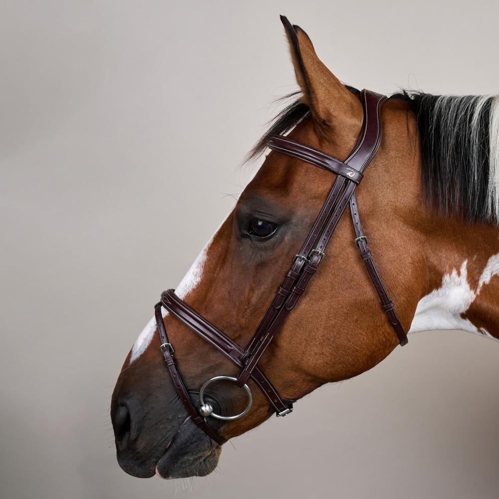 Trense mit kombiniertem Reithalfter US