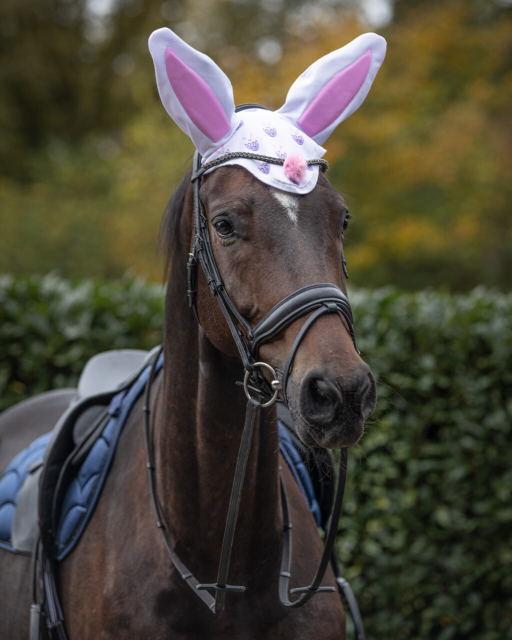 Easter Bunny fly ears