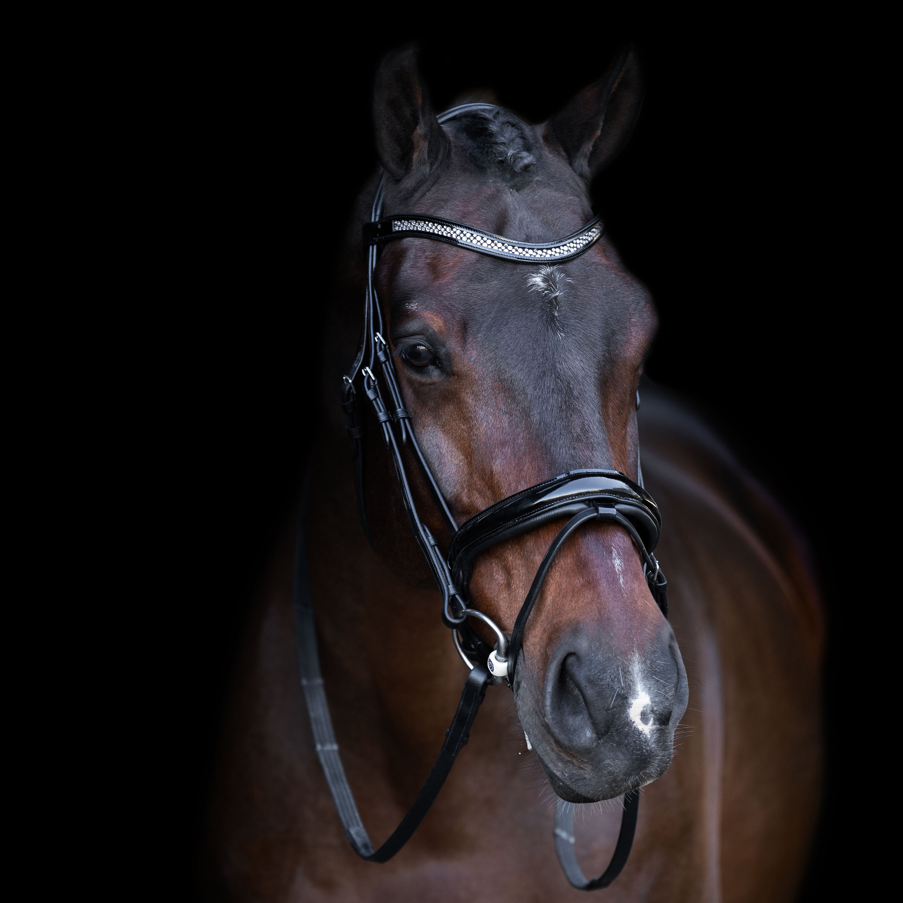 Snaffle bridle with English noseband