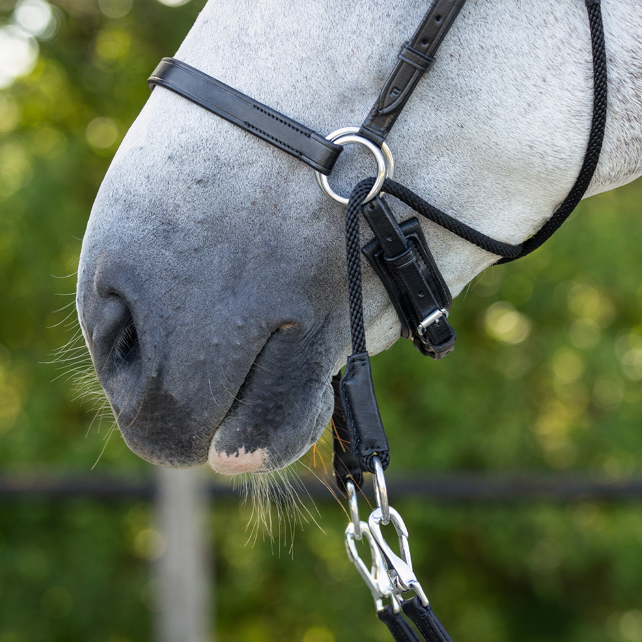 Snaffle bitless Ceto