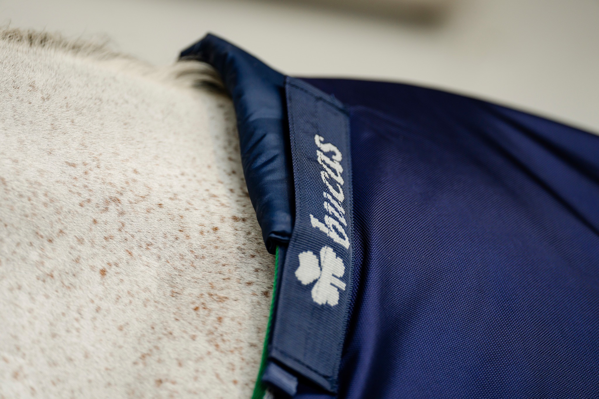 Wither Pad in Navy/Navy