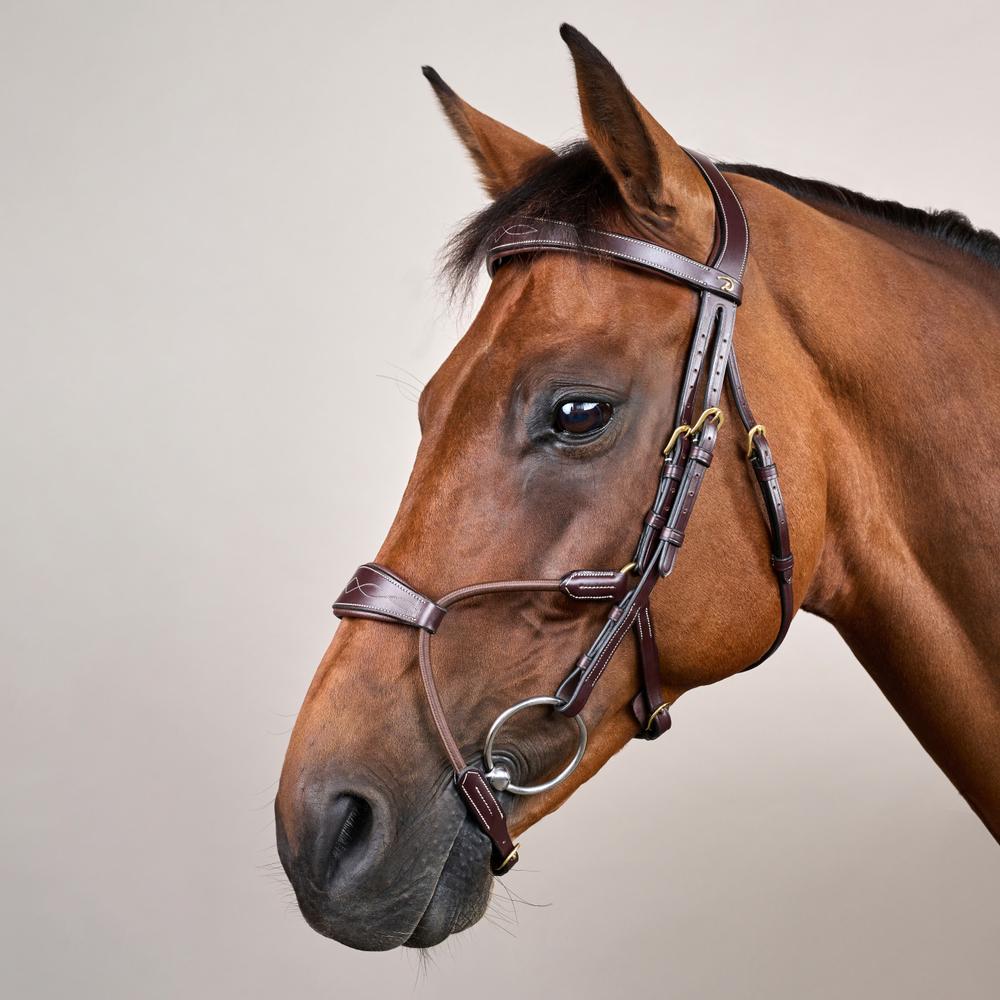 Hybrides Elastisches Zaumzeug DY |