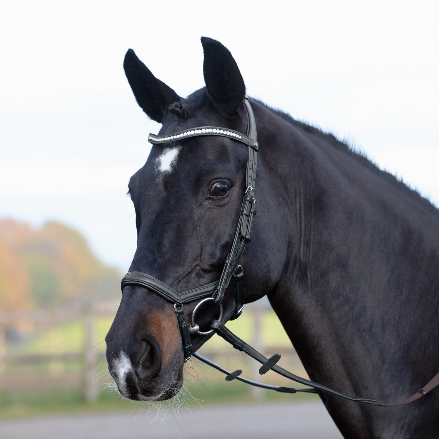 Snaffle Emotion