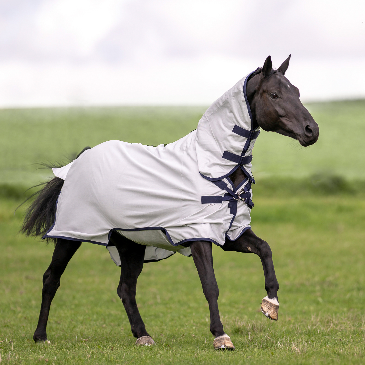 Outdoor fly rug Superb