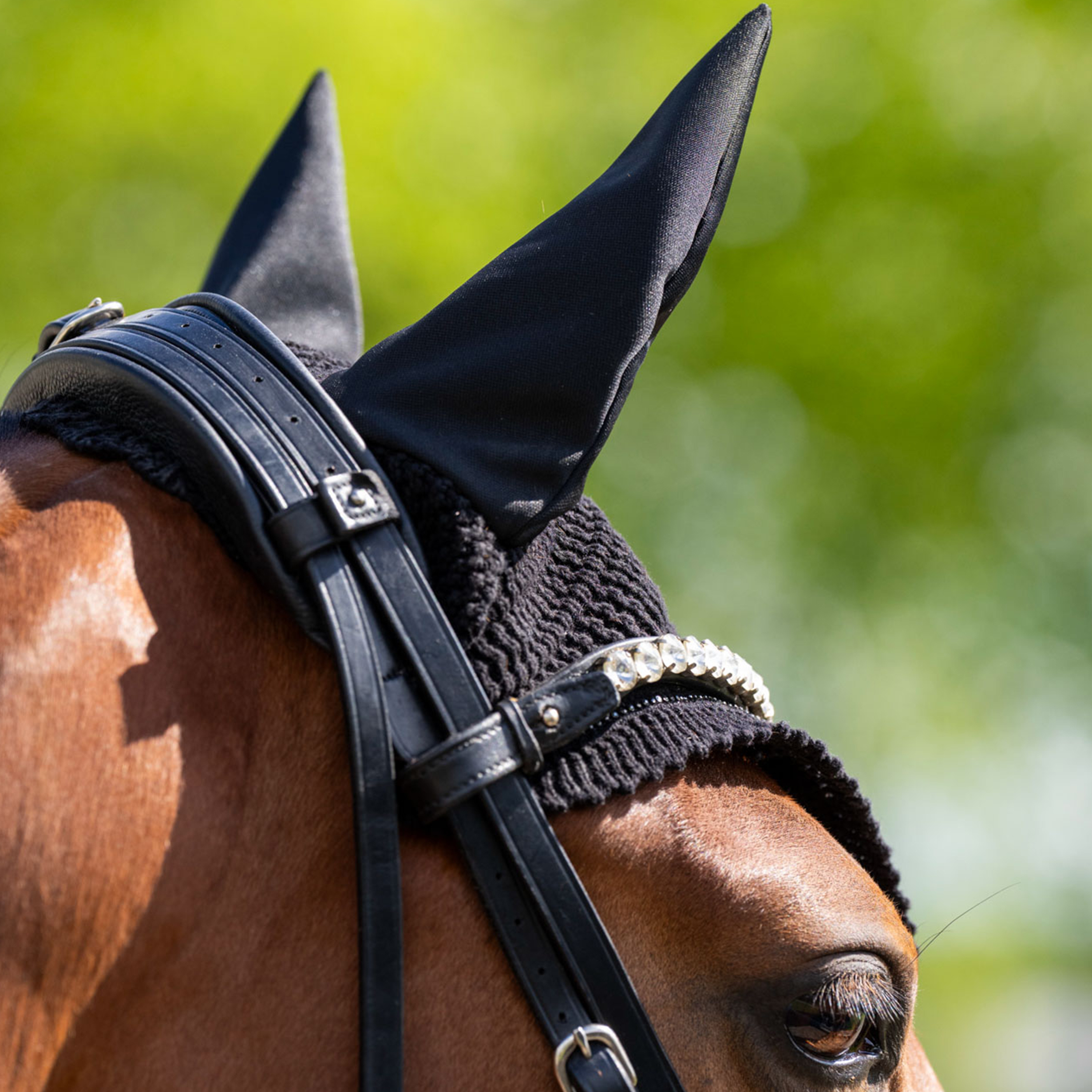 Fliegenhaube Cato
