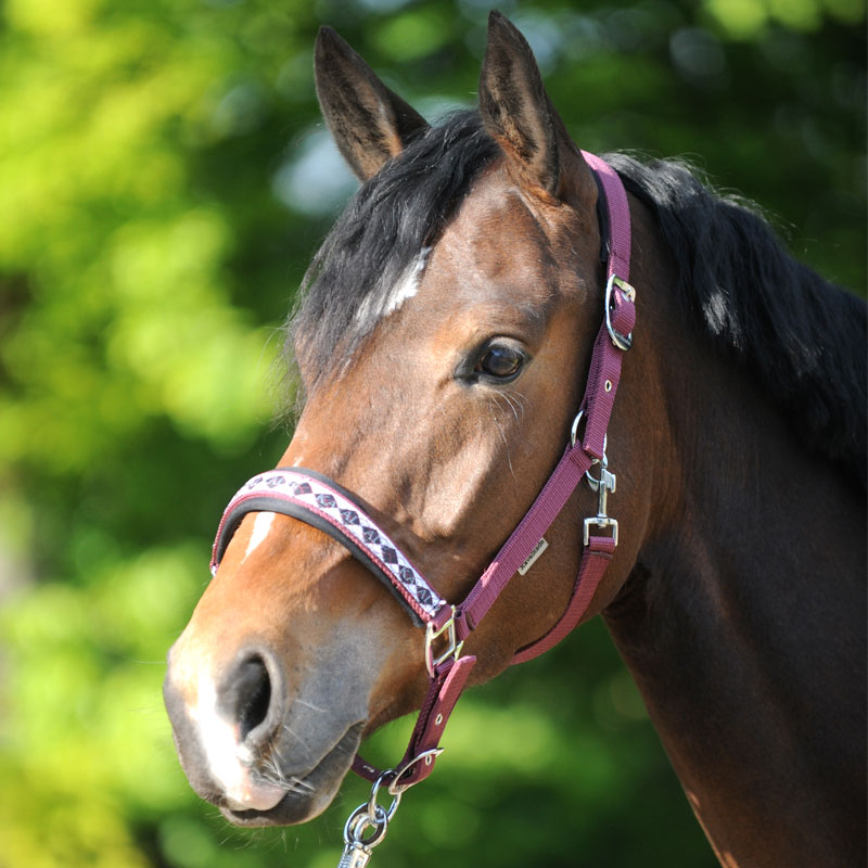 Classic" halter Classic" halter