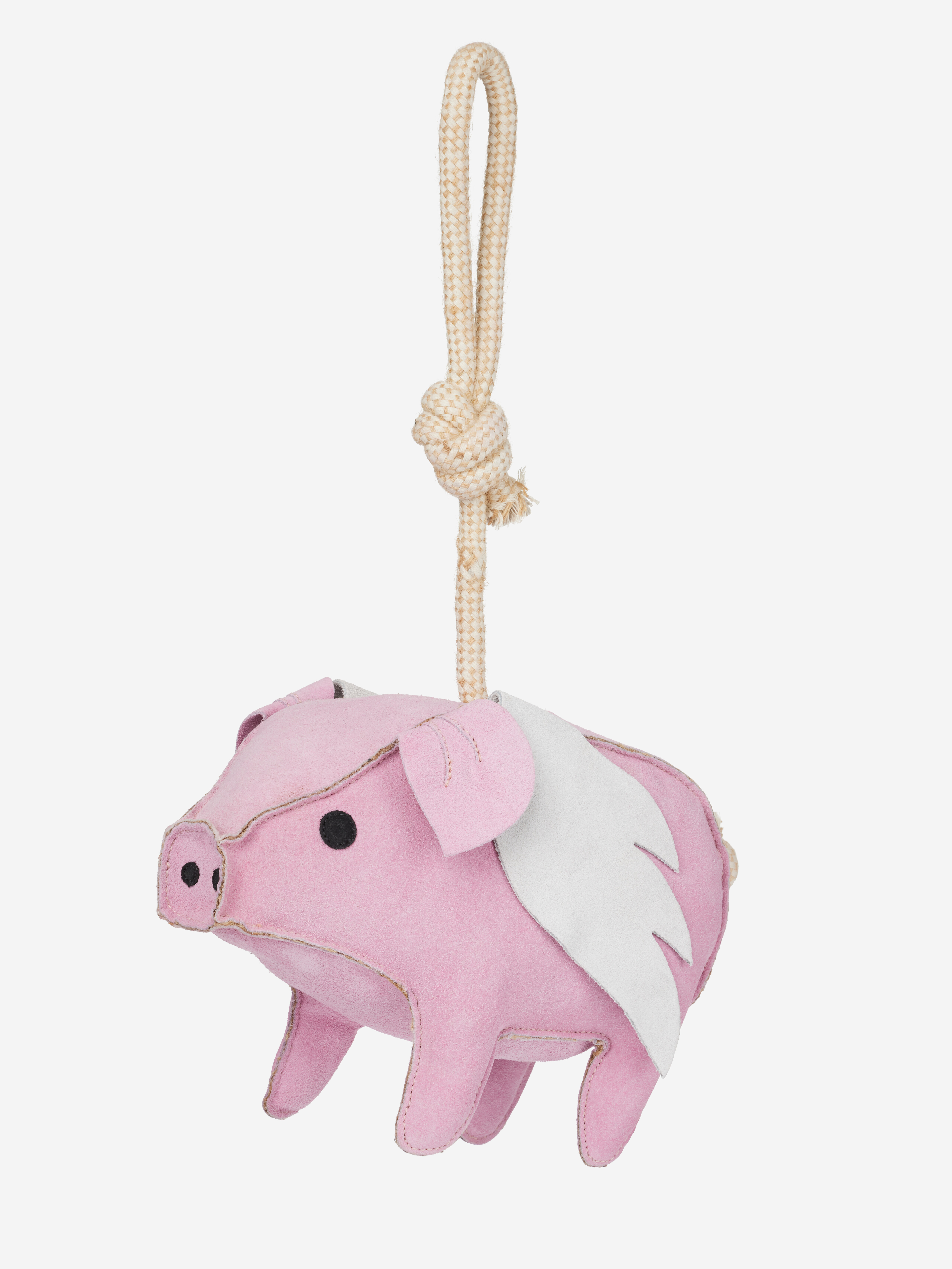Spielzeug-Schweinchen voor paarden