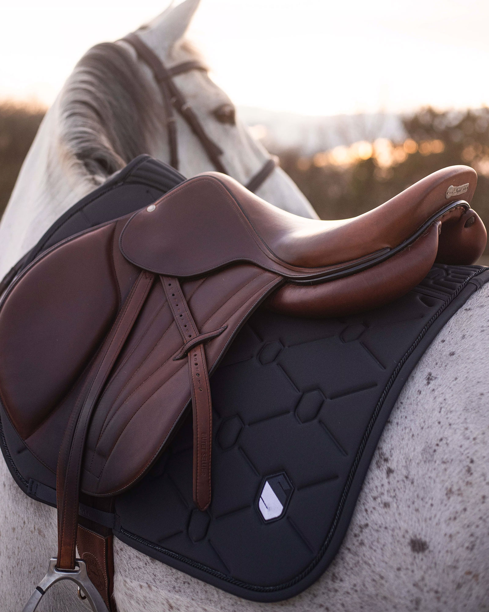 Springschabracke Embroidery