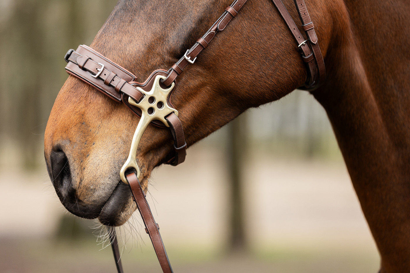 Hackamore neusriem