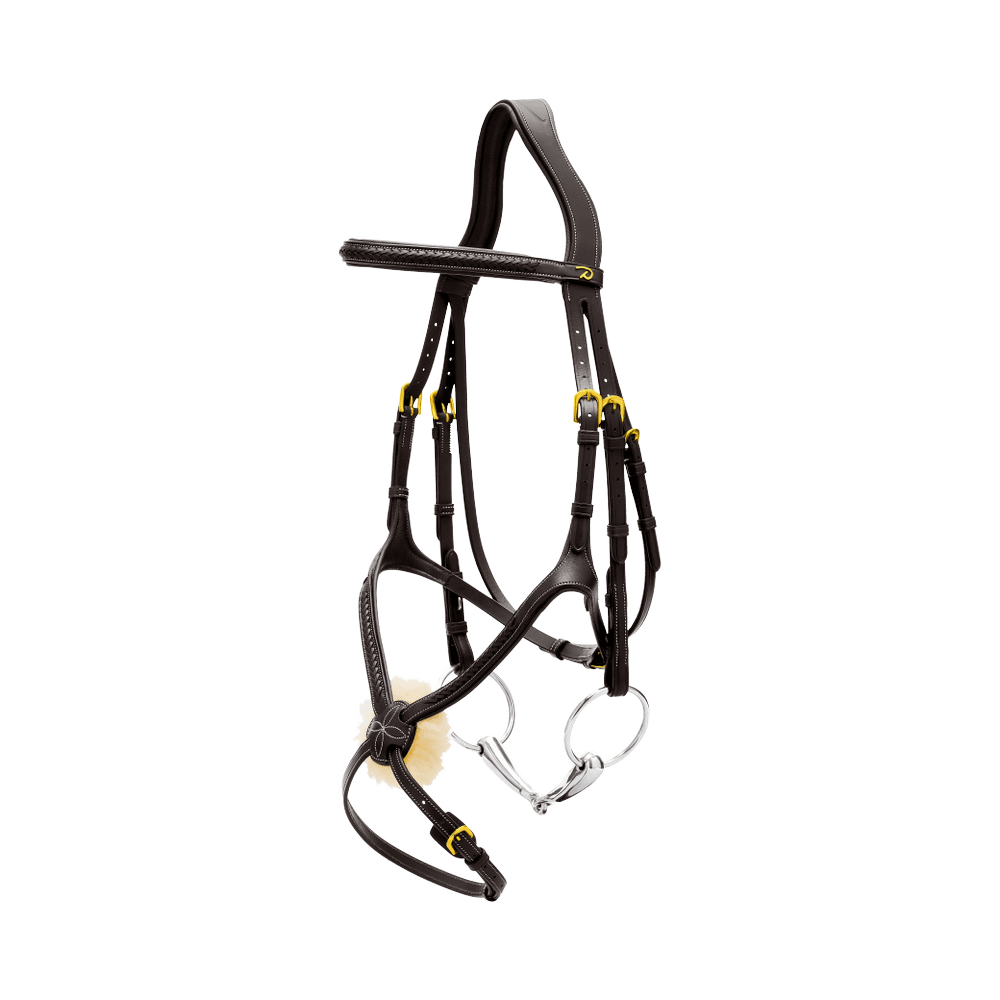 Trense mit geflochtenen mexikanischem Reithalfter DY |