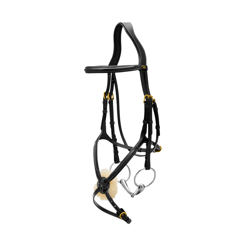 Bridle with Mexican noseband DY | Dy'on