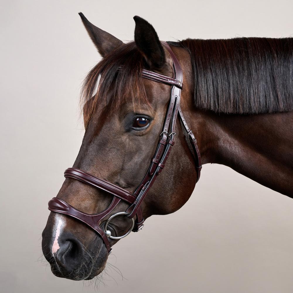 Trense mit Doppelreithalfter NE