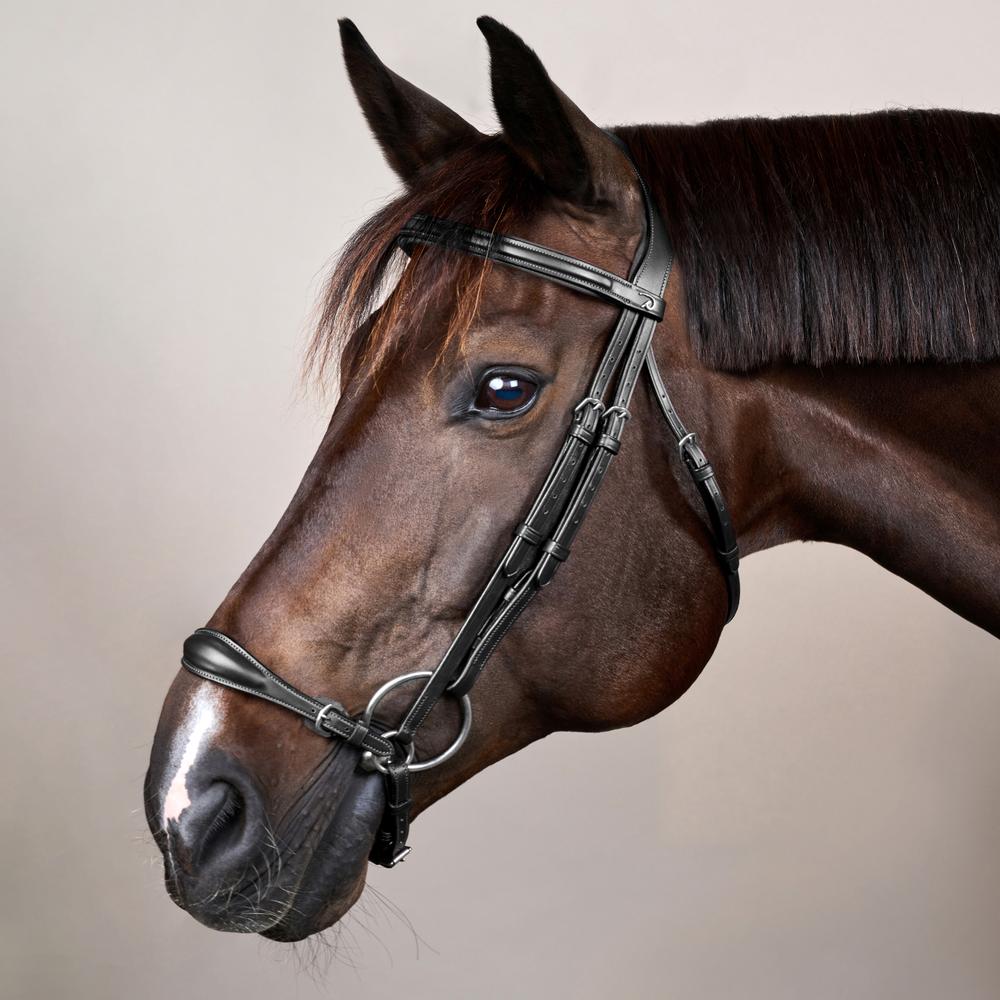 Trense mit verstellbarem hannoverschem Reithalfter NE