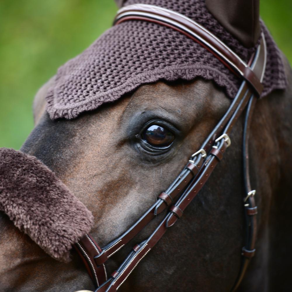 Fliegenhaube