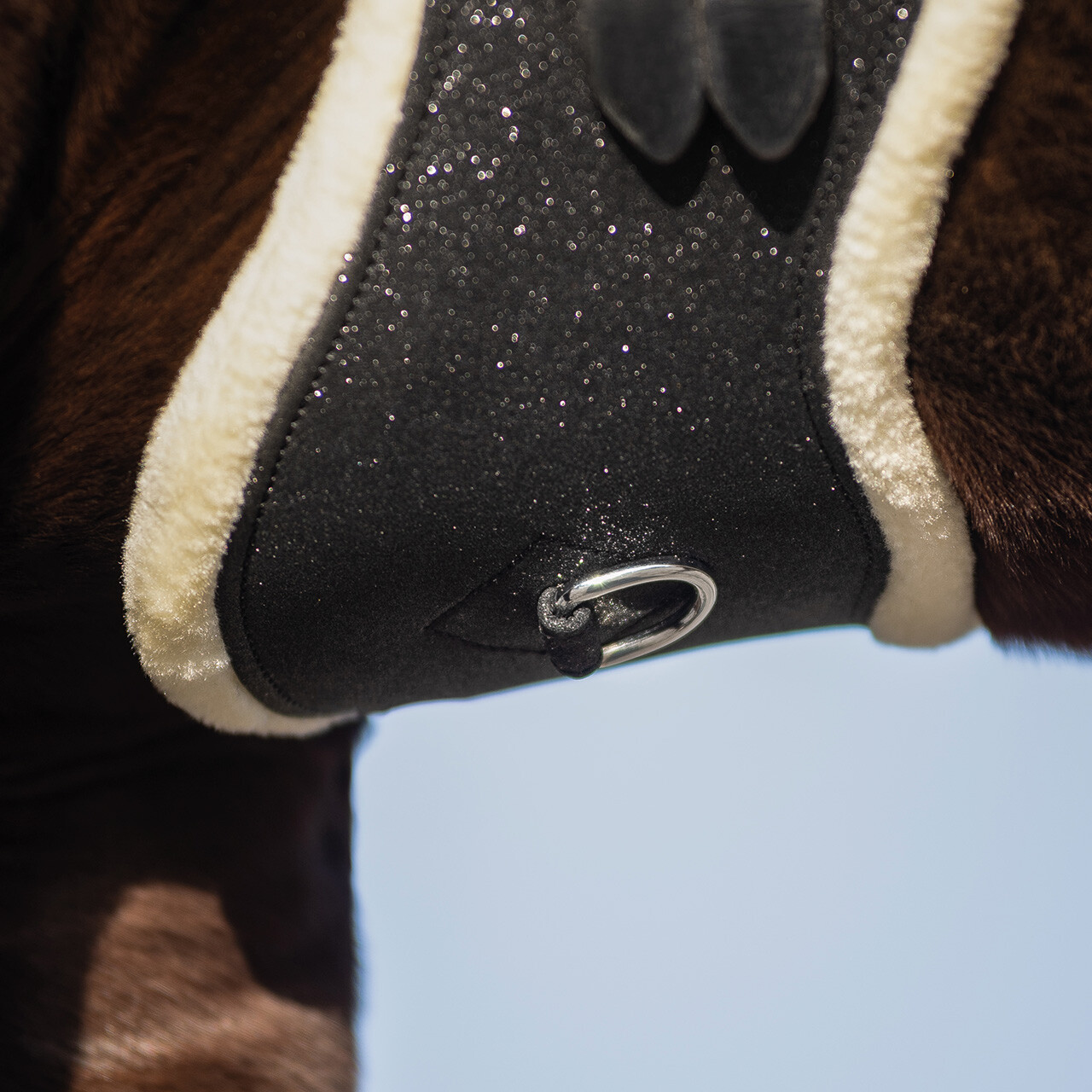 Dressurgurt Glitter