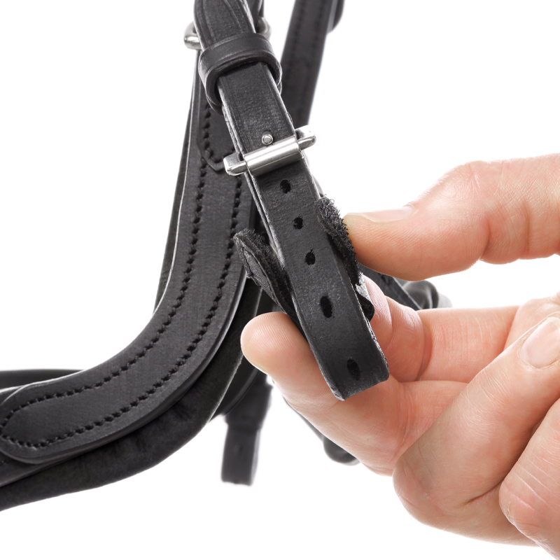 Bridle oiled leather "Caliano Via" close-comb.
