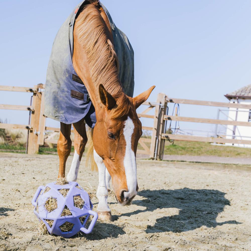 Relax horse game & hay ball