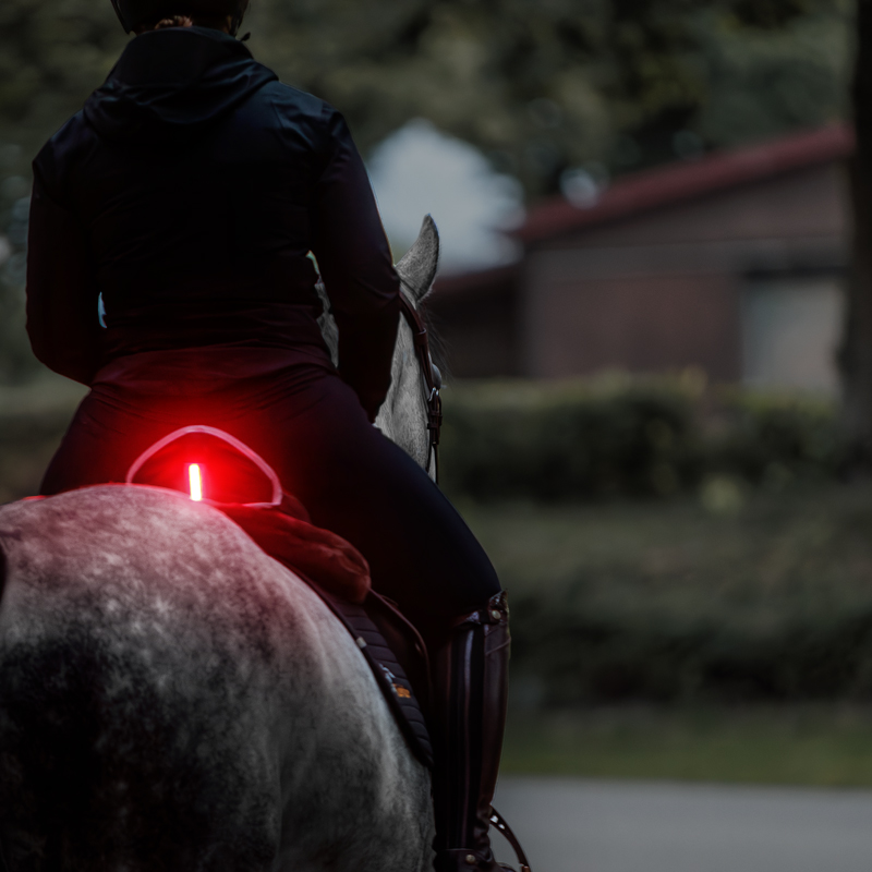 "Horselight" Set 1 - VZ+Sattelhusse-inkl. Leuchten