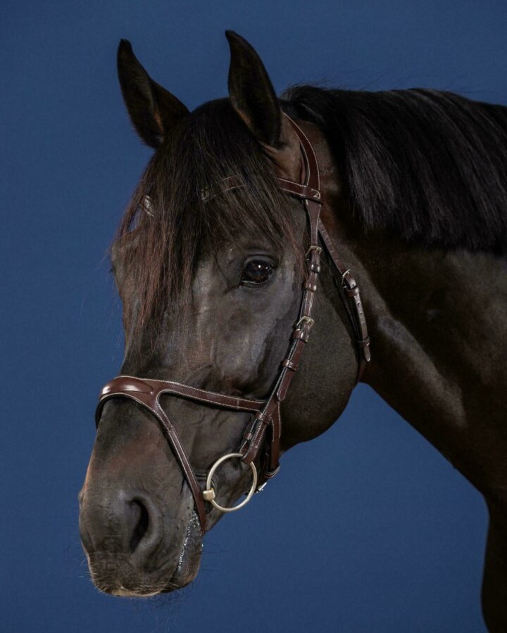 Snaffle X-fit US