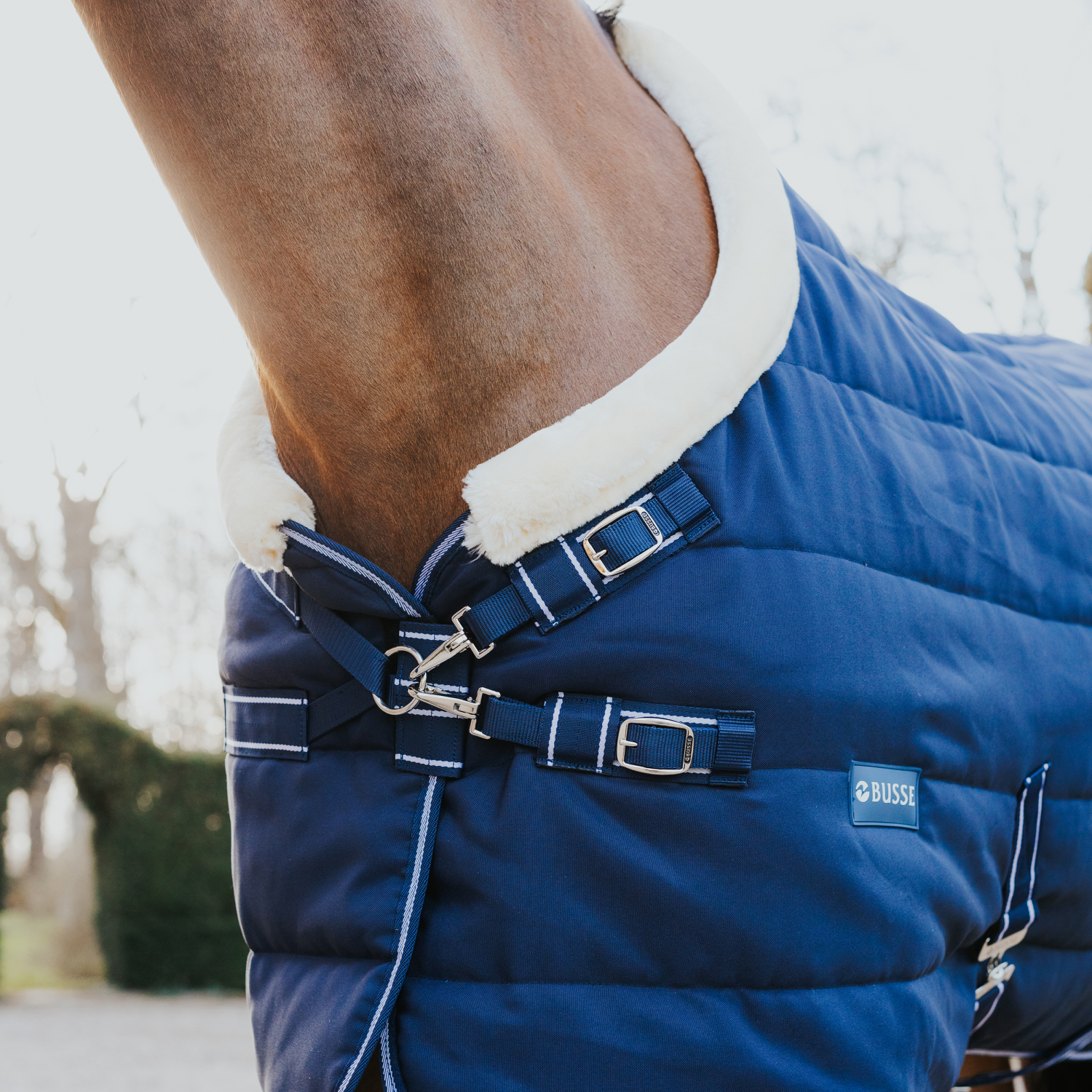 Stalldecke Polaris 200