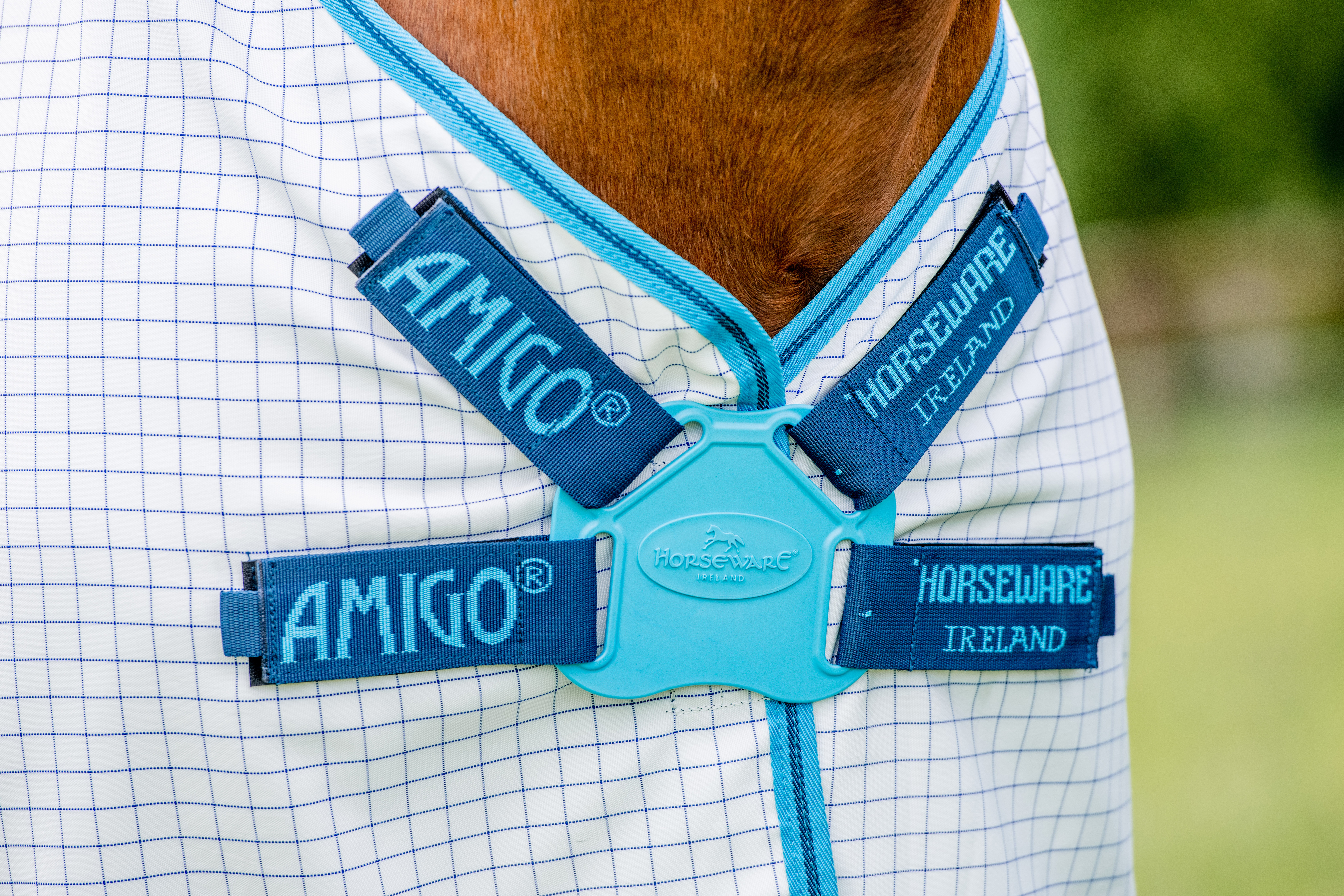Fliegendecke Amigo Aussie Allrounder DF in NavyCheck/ElectricBlue&Nav