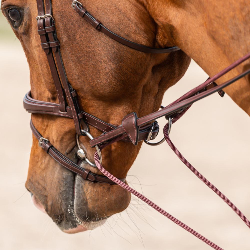 Ausbindezügel Leder/Nylon 5/8"
