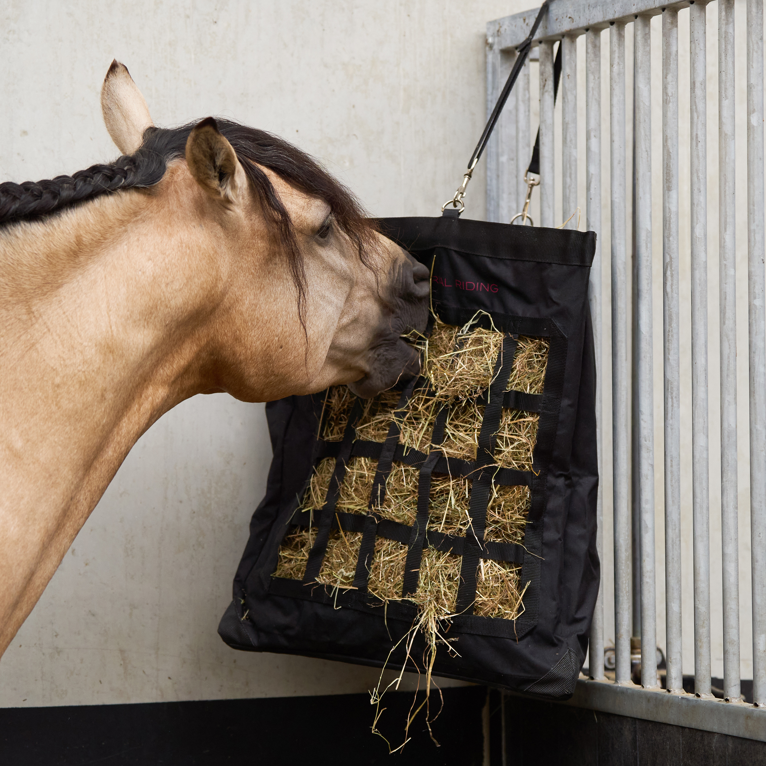 Corner Web Hay Feeder
