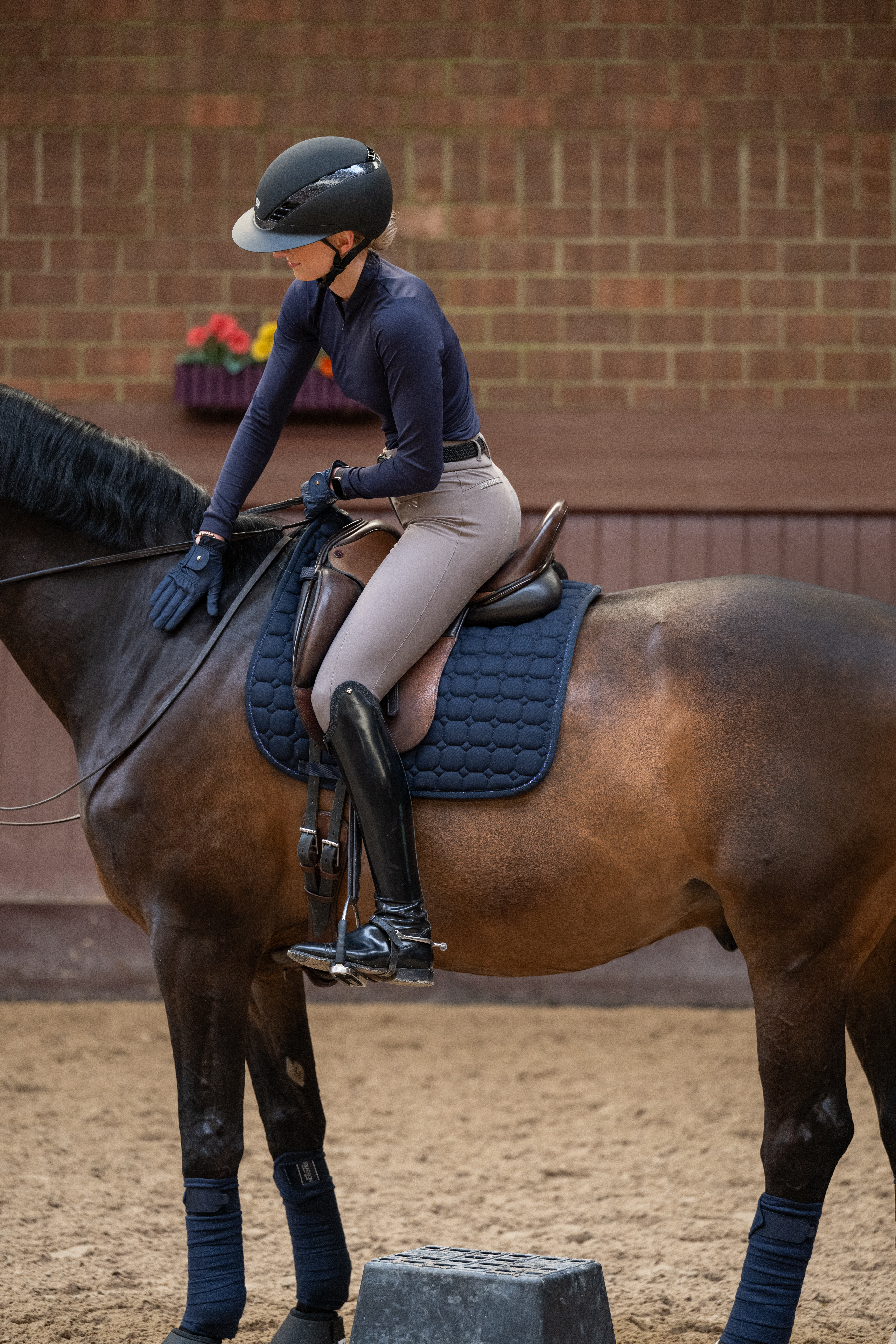 Ladies riding breeches Laure Sd