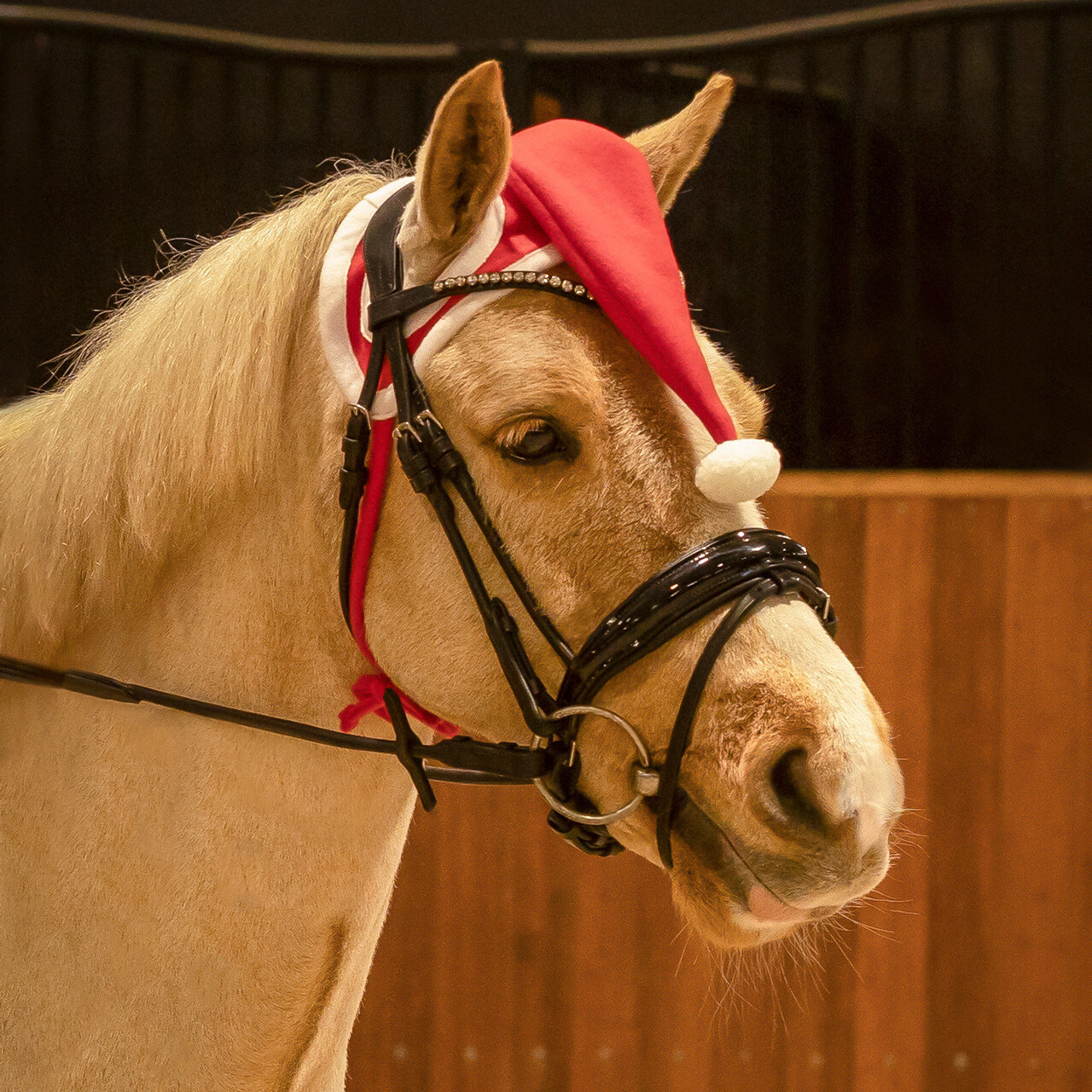 Weihnachtsmütze Pferd
