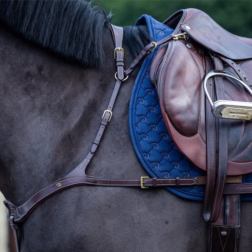 Anatomisches Vorderzeug | Dy'on