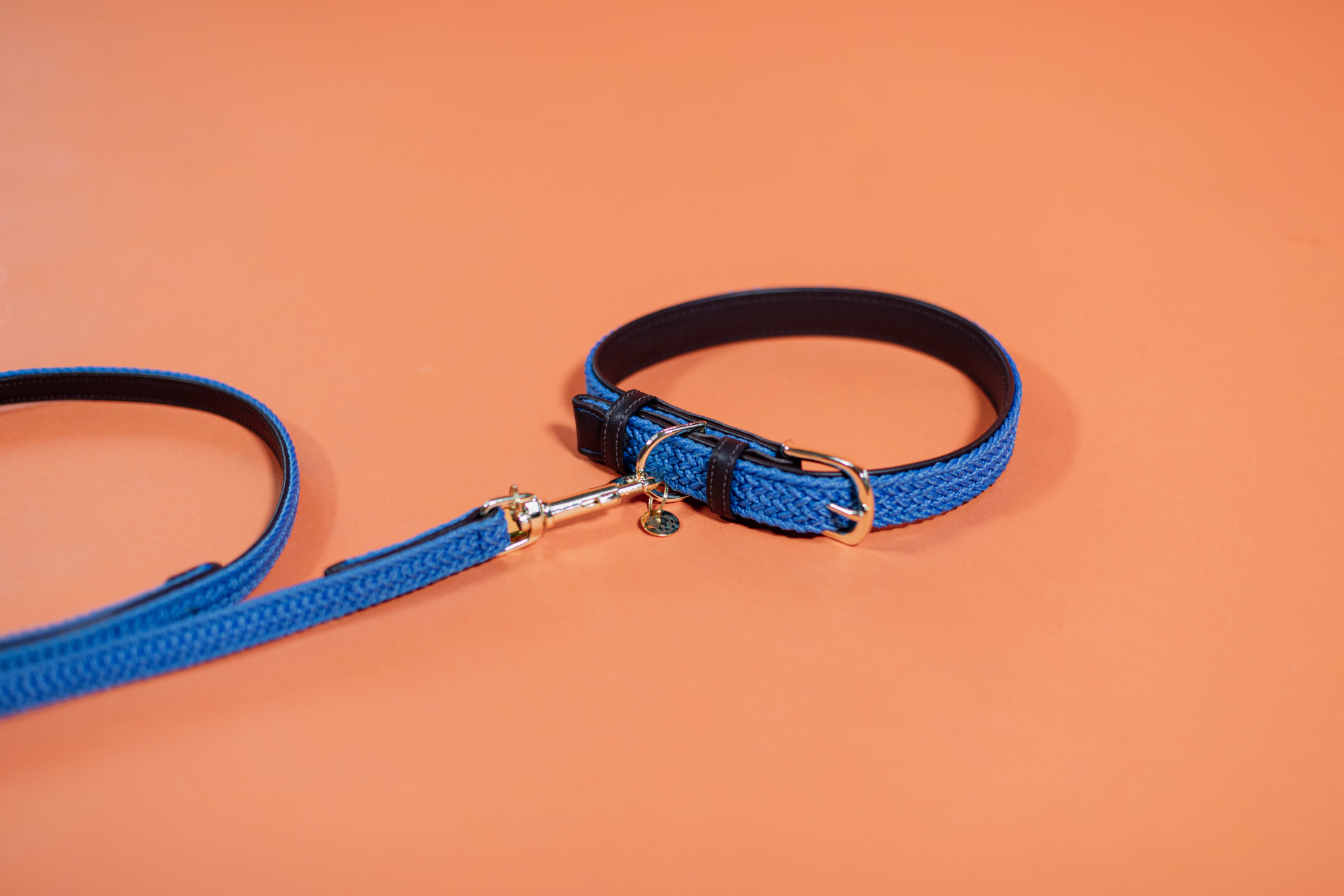 Braided nylon dog collar